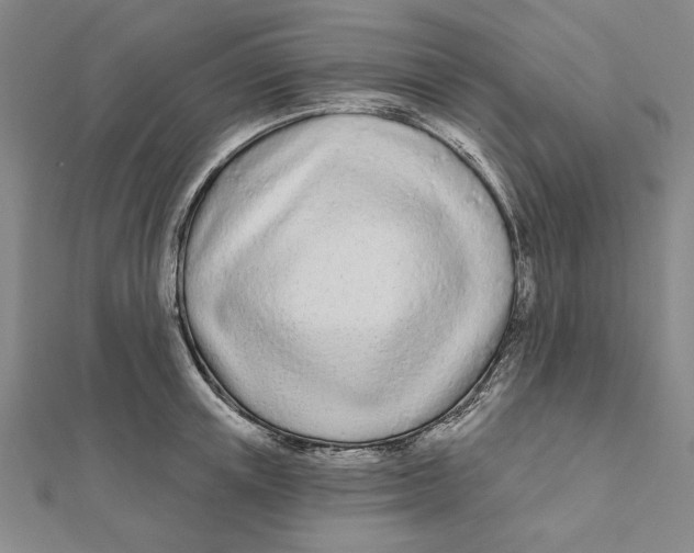 X0000111670851200908141427