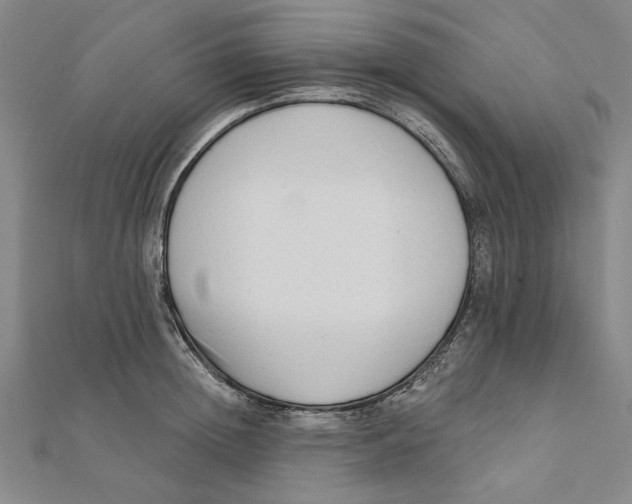 X0000111670852200908141427