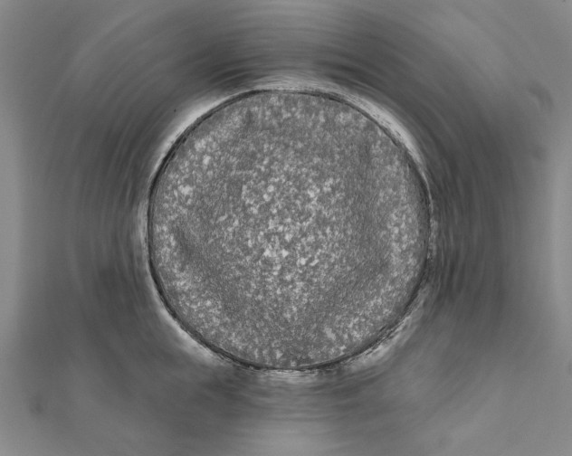 X0000111670855200908141427