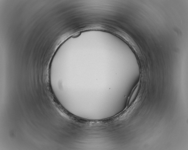 X0000111670858200908141427