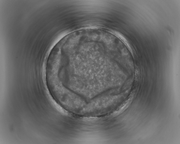 X0000111670859200908141427