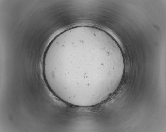 X0000111670861200908141427