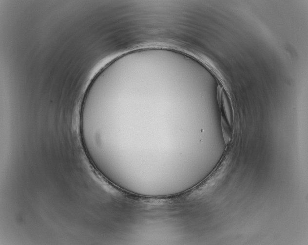 X0000111670862200908141427