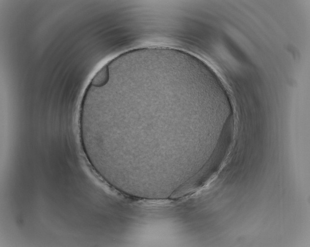 X0000111670864200908141427