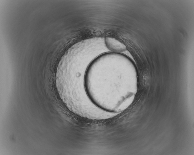 X0000111670865200908141426