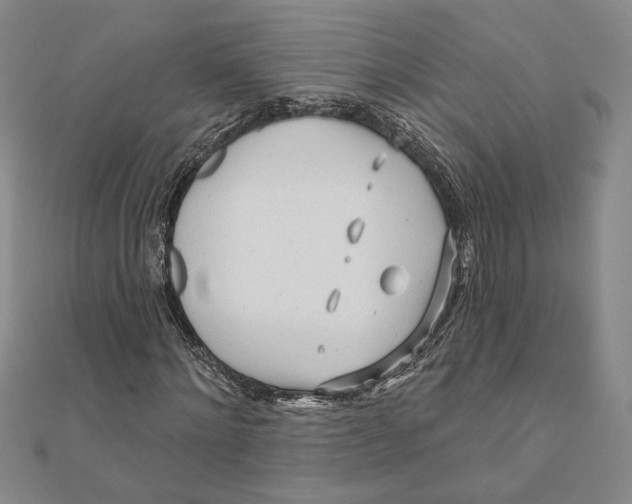 X0000111670868200908141426