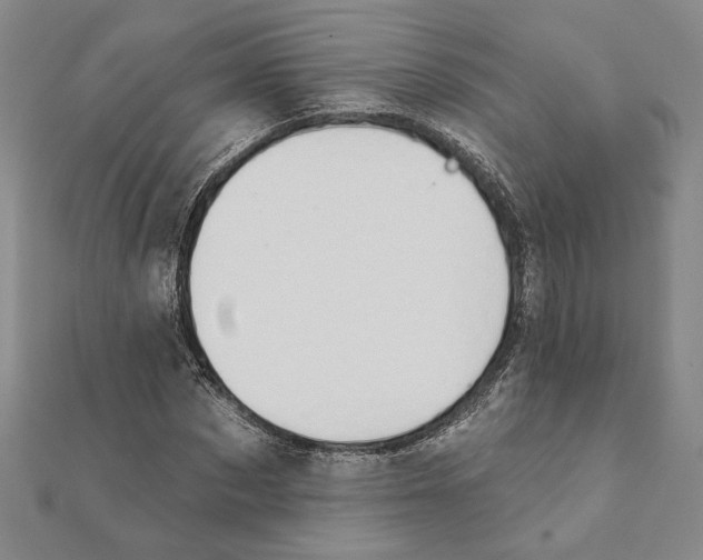 X0000111670873200908141426