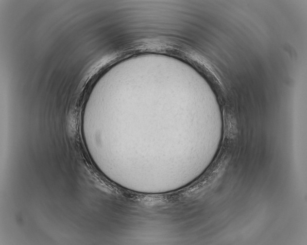 X0000111670874200908141426