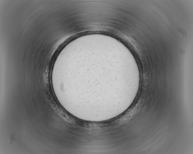 X0000111670875200908141426