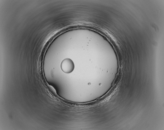 X0000111670877200908141426