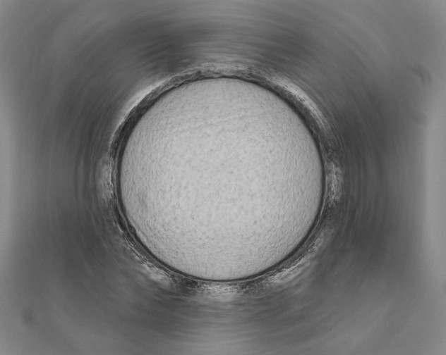 X0000111670878200908141426