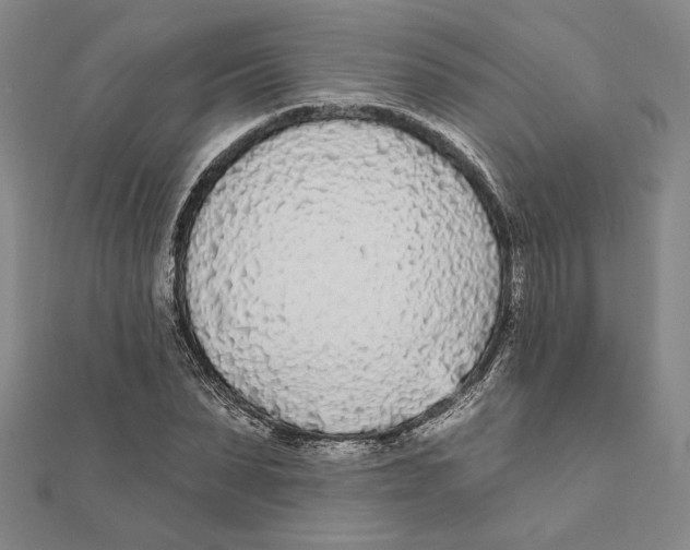 X0000111670879200908141426