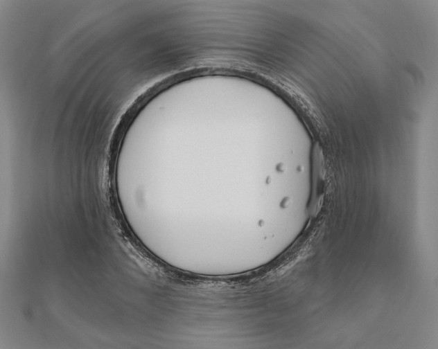 X0000111670880200908141426