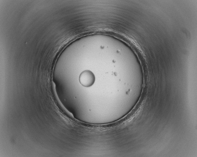 X0000111670881200908141426