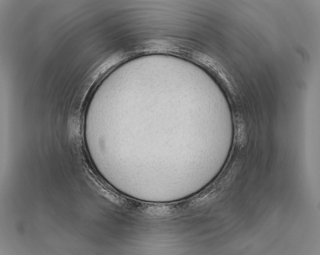 X0000111670882200908141426