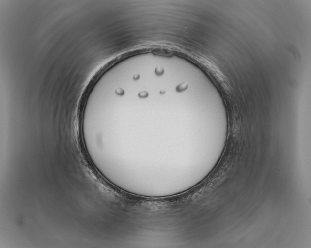 X0000111670888200908141426