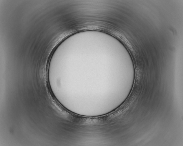 X0000111670890200908141426