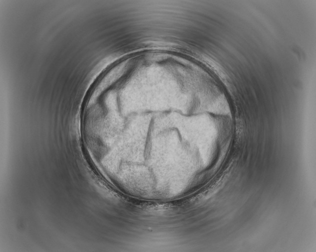 X0000111670891200908141426