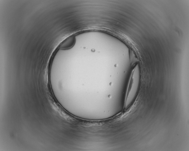 X0000111670892200908141426