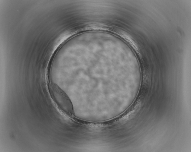 X0000111670893200908141426