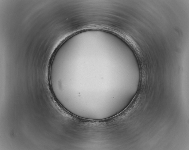 X0000111670896200908141426