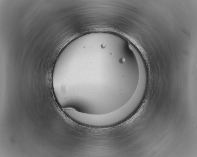 X0000111670897200908141426