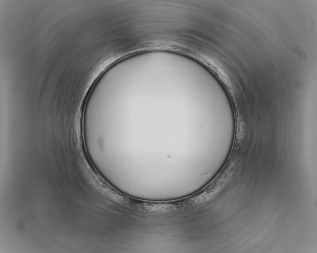 X0000111670899200908141426