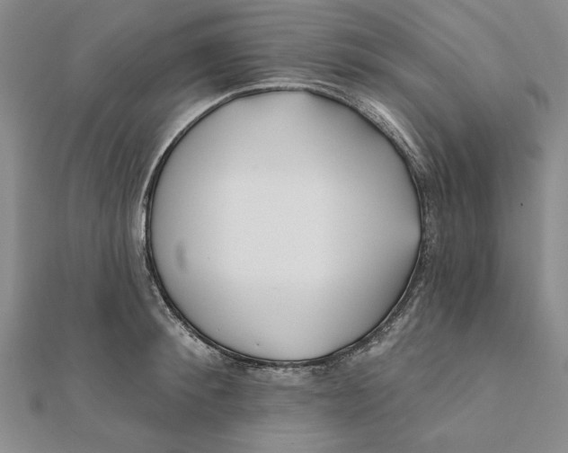 X0000111670900200908141426