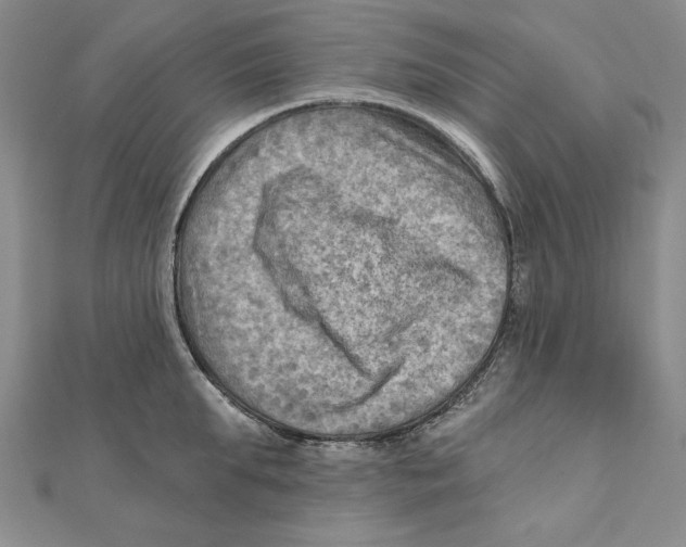 X0000111670903200908141426