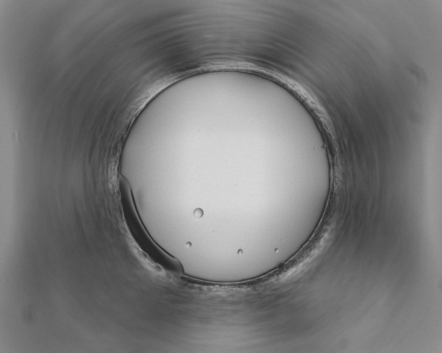 X0000111670905200908141426