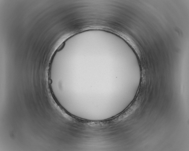 X0000111670906200908141426