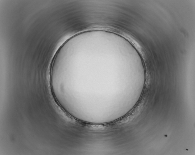 X0000111670907200908141426