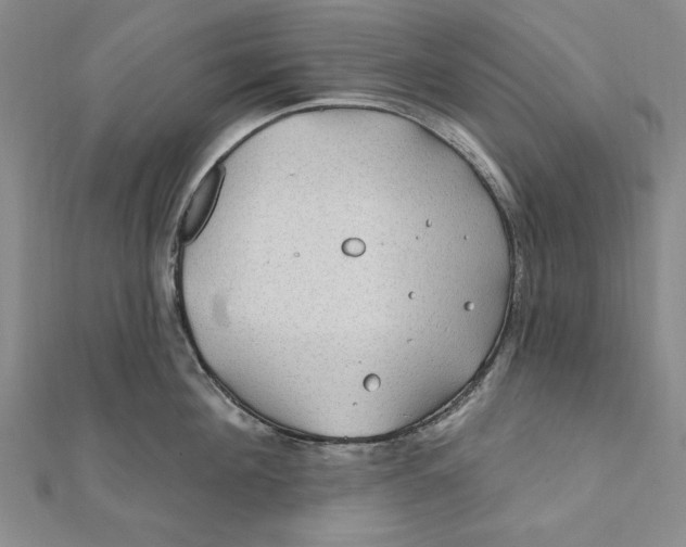 X0000111670908200908141426