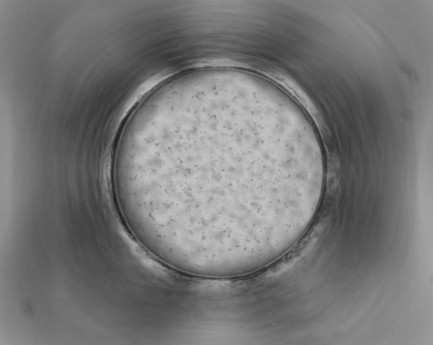 X0000111670909200908141426