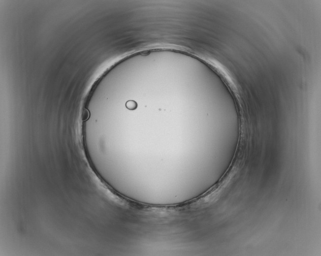 X0000111670910200908141426