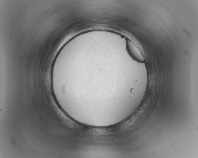 X0000111670911200908141426