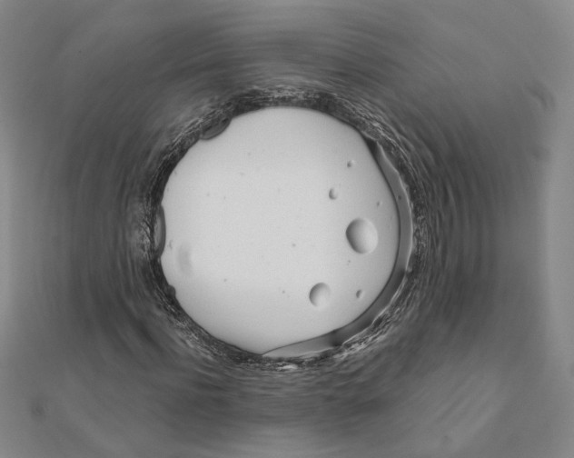 X0000111670916200908141425