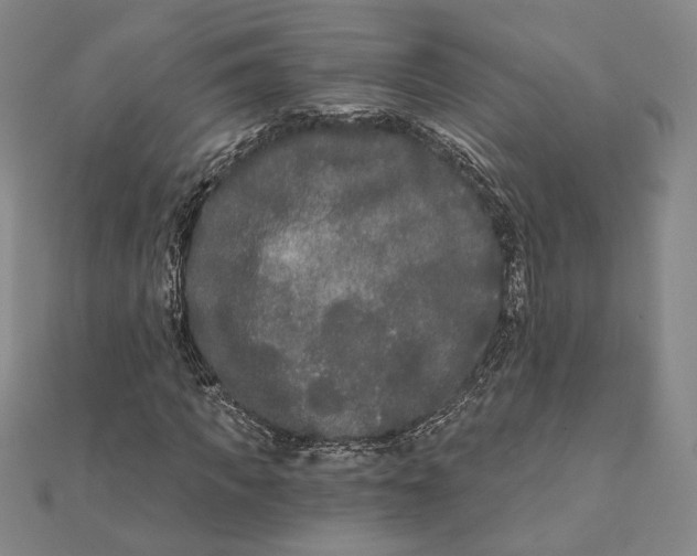 X0000111670917200908141425