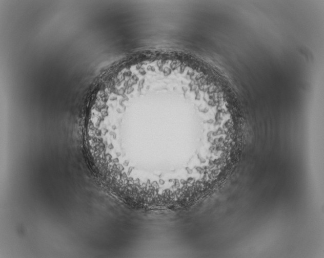 X0000111670918200908141425