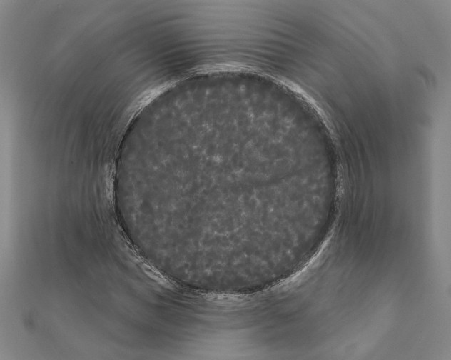 X0000111670921200908141425