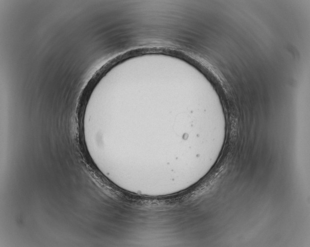 X0000111670927200908141425