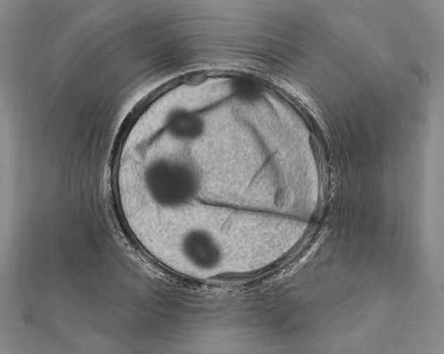 X0000111670928200908141425