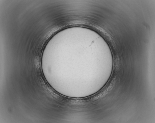 X0000111670929200908141425