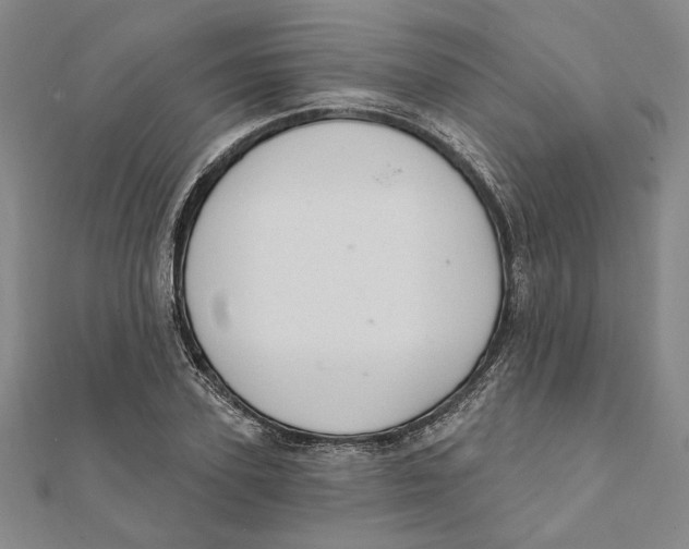 X0000111670931200908141425