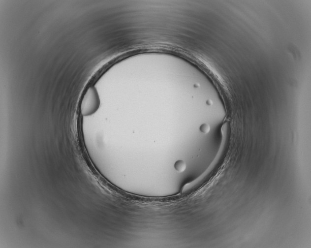 X0000111670932200908141425