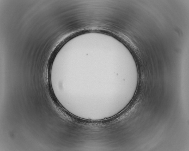 X0000111670934200908141425