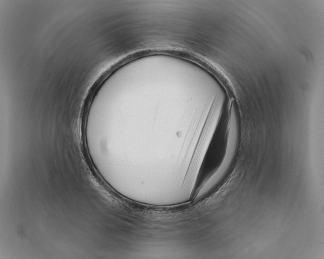 X0000111670935200908141425