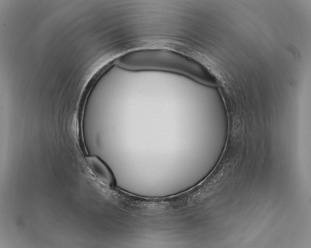 X0000111670936200908141425