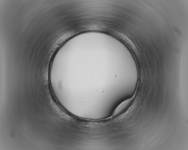 X0000111670938200908141425