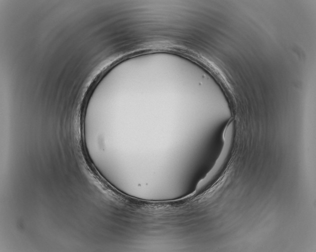 X0000111670939200908141425